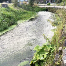 水汲みとおまけの楽しみ